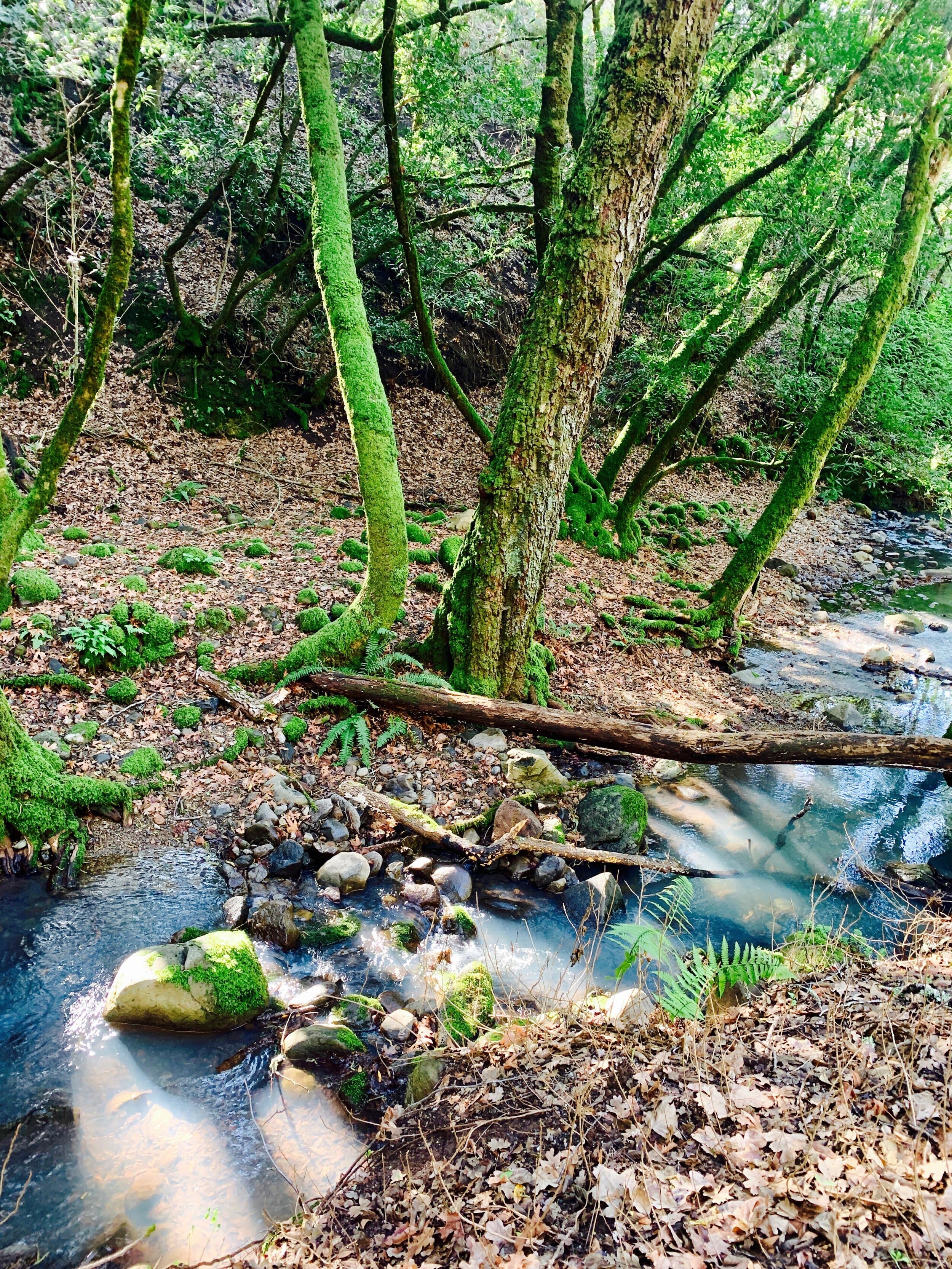 Breathing, Stress, and CO2