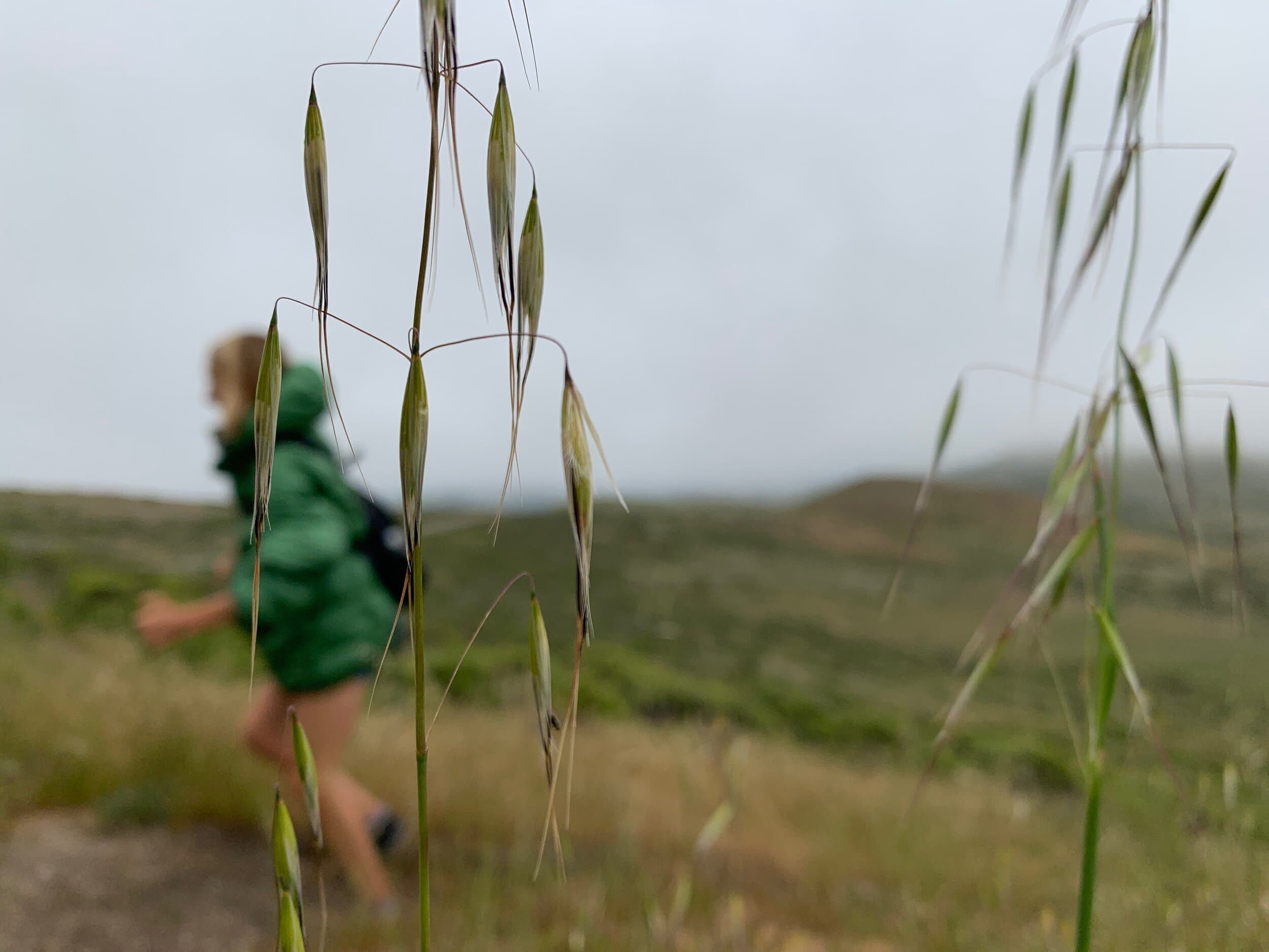 Calm scene for discovery call