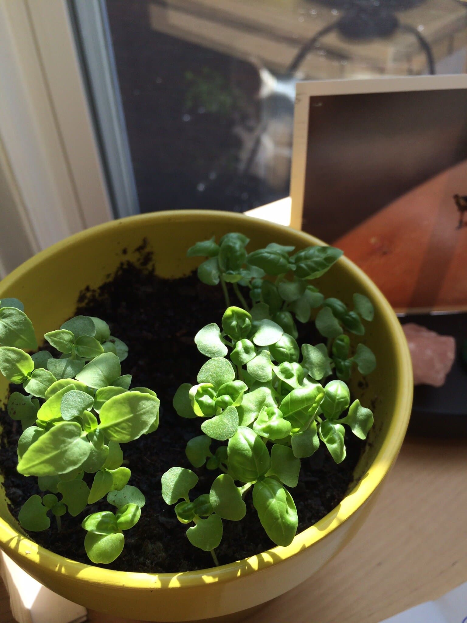 Frequently Asked Questions about Colon Hydrotherapy