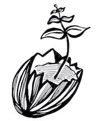 Theresa Piela teaching EFT and brain rewiring