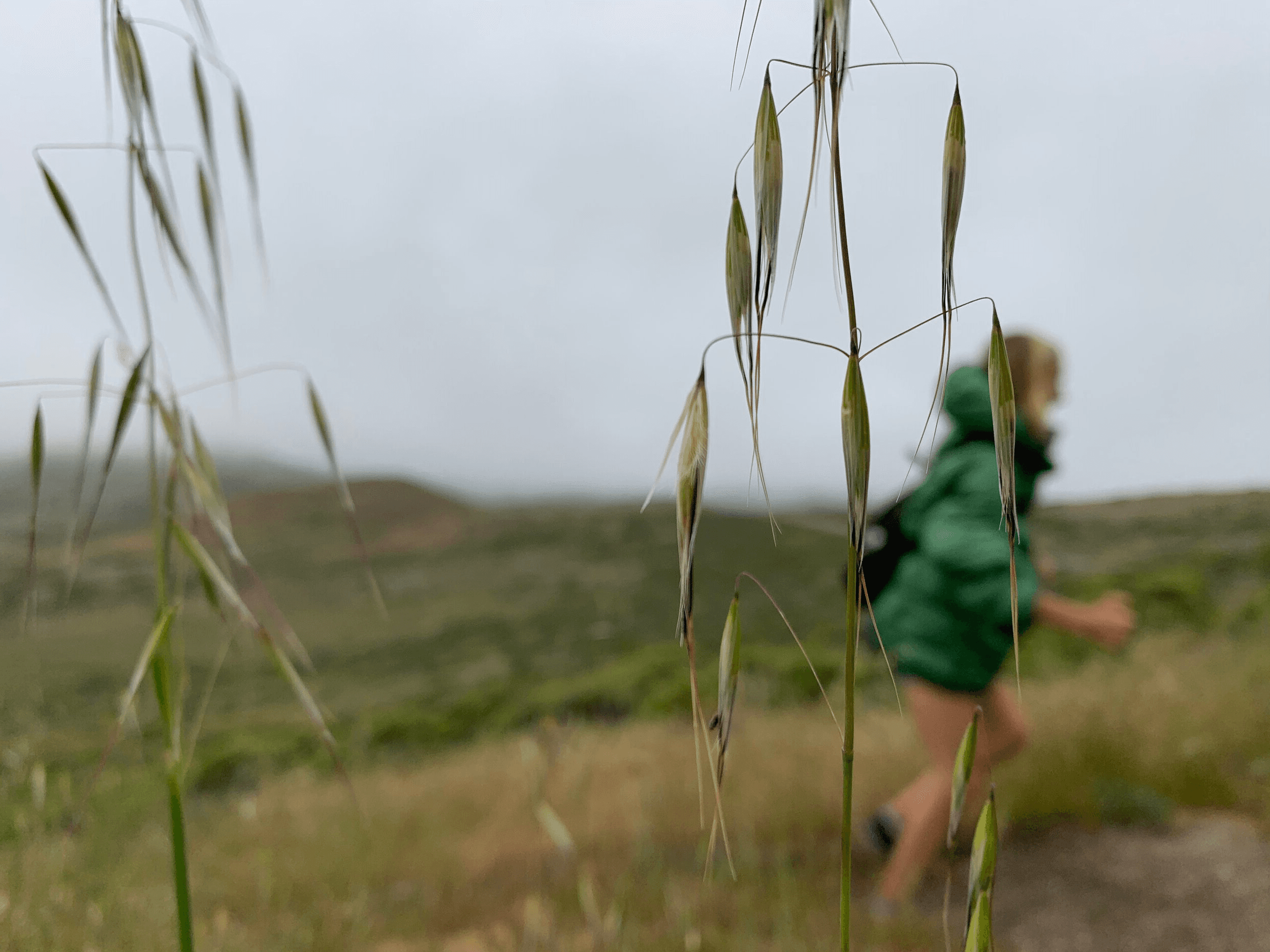 Theresa Piela portrait