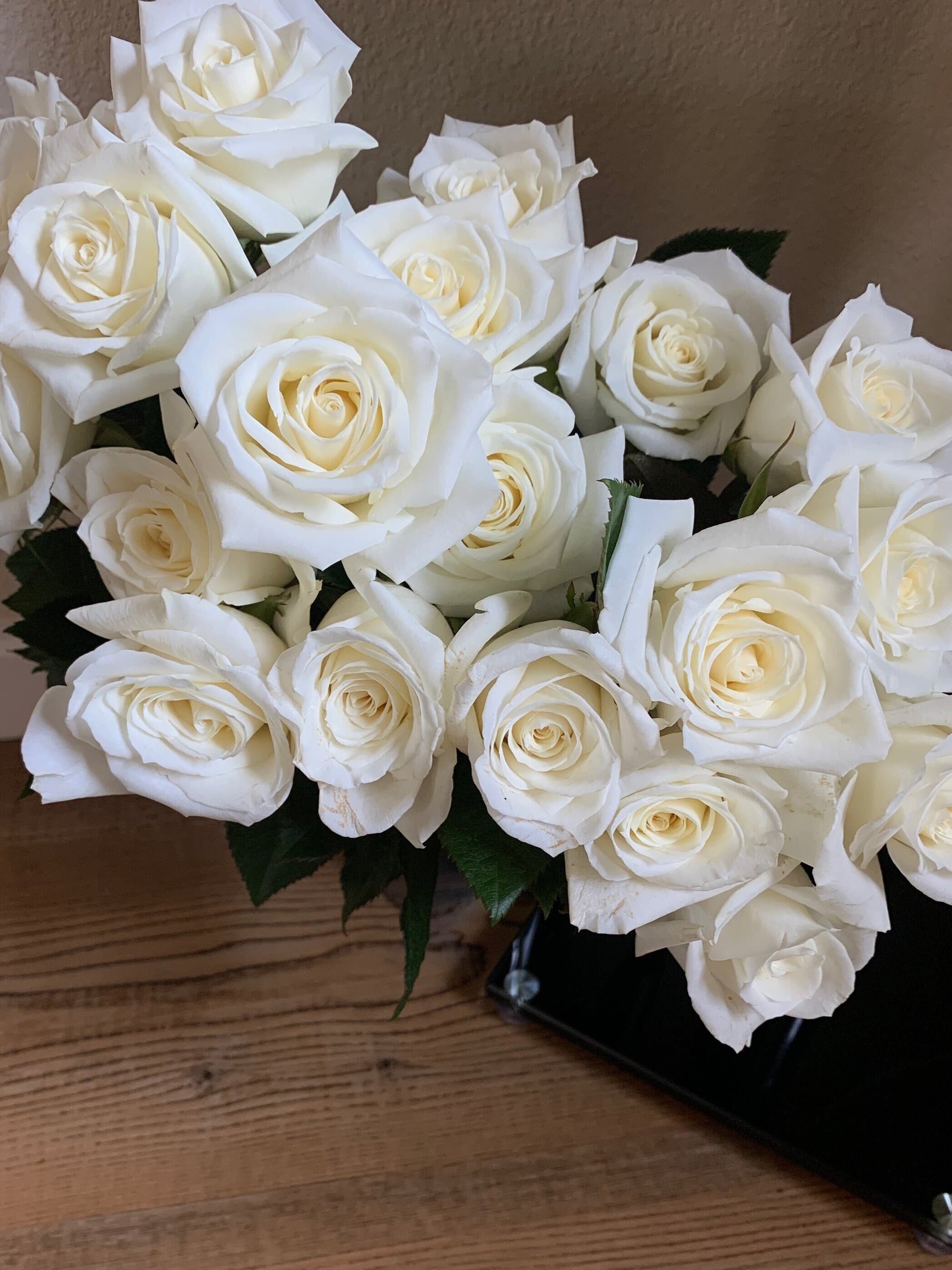 Brain rewiring concept with neural and gut imagery